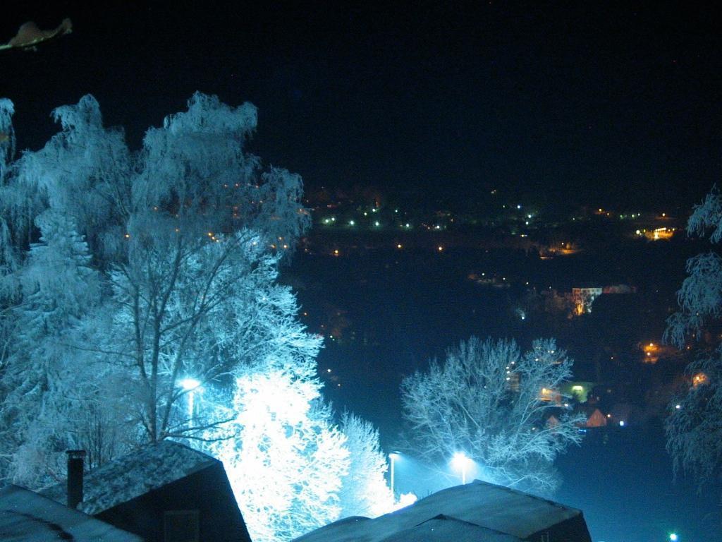 Ferienhaus Hajek Freyung Pokój zdjęcie